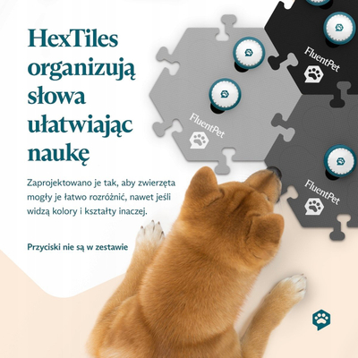 Основa за копчиња за комуникација FluentPet Orange HexTile, до 6 копчиња, портокалова