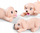 Kukull Simba Evi Love Puppy Doctor, set veterineri, 12 cm, shumëngjyrëshe