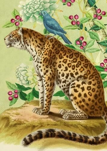 Kartolinë Madame Treacle Leopard and Bird B6, me zarf, shumëngjyrëshe