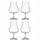 Gotë alkooli Alandeko CRI, 220ml, qelq transparent