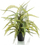 Вештачко растение Emerald Boston Fern, 70 cm, пластична саксија, црна