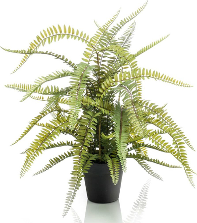 Вештачко растение Emerald Boston Fern, 70 cm, пластична саксија, црна