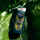 Xhel dushi Nivea Extreme Wild Fresh Green