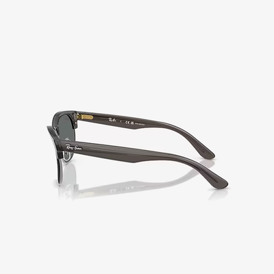 Ray-Ban RBR0504S 670781 54