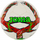 Top futbolli Joma Dali III, TPU rezistent, i bardhë