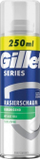 Shkumë rroje Gillette Series me Aloe Vera, 250 ml