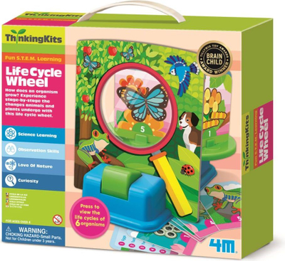 Lodër edukative ThinkingKits Life Cycle Wheel, set cikli jete, shumëngjyrëshe