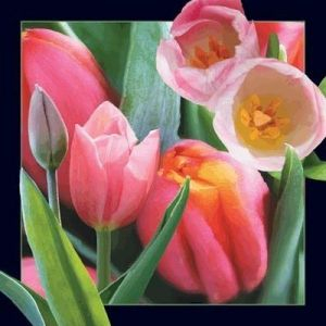 Kartolinë 3D dekorative Tulip, letër guri, shumëngjyrëshe