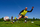 Top futbolli Huari Tahuchi, madhësia 5, PU, i bardhë