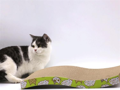 Post gërvishtës horizontal për mace Eko Catnip, karton i shtresuar, formë valë, jeshile