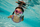 Очила за пливање за деца Bling2O Sunny G Sea Shells, 3–6 години, розова
