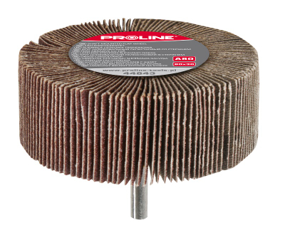 Disk letre gërryese Proline 60x30mm A100