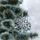 Ornament varëse Koopman Snowflake, akrilik kristal, 12cm, i tejdukshëm