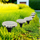Llambë dielli për kopsht Saska Garden, 8 LED SMD, set me 12 copë, ngjyrë argjendtë