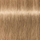 Ngjyrë për flokë Schwarzkopf Igora Royal, Beige 8-4, 60 ml