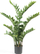 Bimë artificiale Emerald Zamioculcas, 110 cm, për zbukurim, jeshile