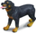 Lodër figurë Collecta Qen Rottweiler 004-88189, e zezë