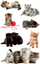 Stikera letre Z-Design Cats, 10 copë, 3 fletë 76x120mm, me ngjyra të ndryshme