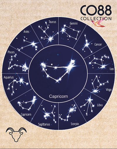 Byzylyk C088 Capricorn (180-090267-0000)