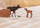 Figurë lodër Schleich Moose with Calf, set 2 pjesë, kafe