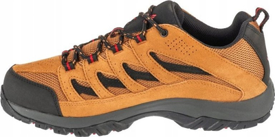Këpucë mali Columbia Crestwood M 1781181224, Techlite, Omni Grip, kafe