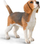 Figurinë lodër CollectA Beagle, plastike, shumëngjyrëshe