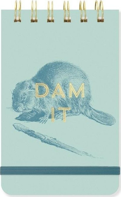 bllok shënimesh Designworks Ink Dam It PPS56-1001EU, 8.9x14.6 cm, 80 fletë, blu e hapur