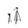 Tripod WT-3540