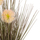 Bimë dekorative sintetike dandelion/ barisht Φ9,5 (HM4016)