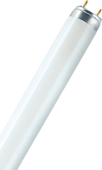 Llambë florescente Osram L 36W 830, 36W, 120cm, dritë e bardhë e ngrohtë