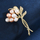 Brosh elegante Troli