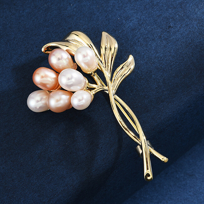 Brosh elegante Troli
