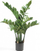 Bimë artificiale Emerald Zamioculcas, 70 cm, vazo e zezë, jeshile