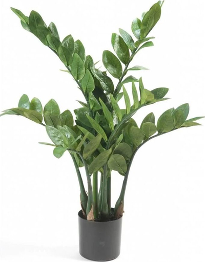 Bimë artificiale Emerald Zamioculcas, 70 cm, vazo e zezë, jeshile