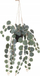 Bimë artificiale varëse 4Living Ceropegia, 40 cm, jeshile