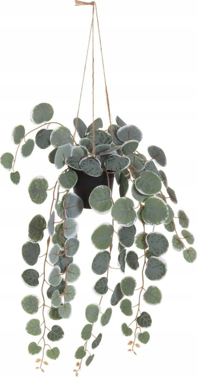 Bimë artificiale varëse 4Living Ceropegia, 40 cm, jeshile