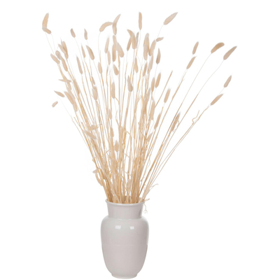Buqetë e tharë dekorative Rabbit Tail 76cm (HM7959)