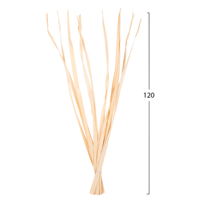 Dekor buqetë gjethe të thata 120Hcm (HM7964)