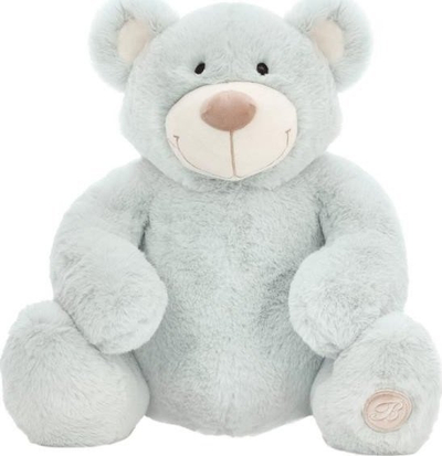 Arush lodër Beppe Teddy Bear Mascot Jacobe Mint, 25cm, mente