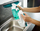 Pastruese për xhama Leifheit Dry&Clean 51003
