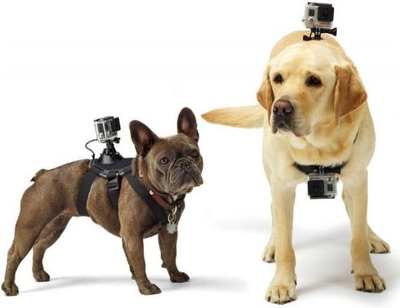 Parzmore për qen GoPro Fetch ADOGM-001, me 2 pika montimi, e rregullueshme, e zezë