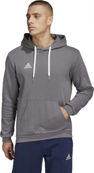 Duks Adidas Entrada mAD0078, gri, XL