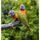 Lente Canon RF 24-105mm f/4-7.1 IS STM