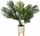 Bimë dekorative fallco Ceramic Palm me bazë druri H72, 60 cm, qeramike, bardh e gjelbër