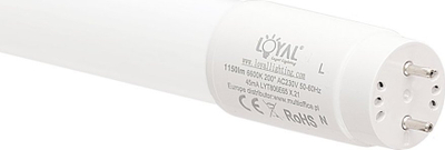 Tub LED Loyal Lighting 60cm, 8.8W, 6600K, dritë e bardhë e ftohtë
