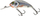 Grep për peshkim Rattlin Hornet Silver Hologra Shad 4.5cm fl