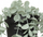 Bimë artificiale Atmosphera Eucalyptus MERLY, 51 cm, jeshile