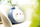 Jastëk plush Molang Cushion, për dekor, i bardhë me vjollcë