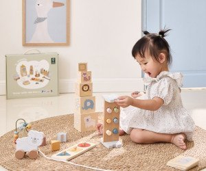 Set lodrash zhvilluese PolarB Baby Box, Montessori, 0 18 muaj, shumëngjyrësh