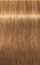 Ngjyrë për flokë Schwarzkopf Igora Royal, Gold 8-55, 60 ml